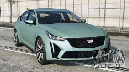 Cadillac CT5-V Blackwing Acapulco [Add-On] pour GTA 5