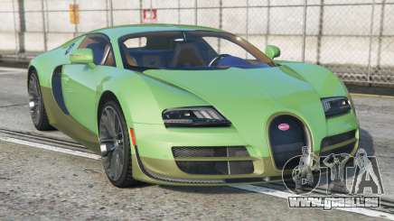 Bugatti Veyron Super Sport De York [Add-On] pour GTA 5